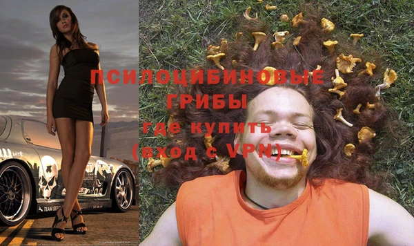 метадон Приозерск