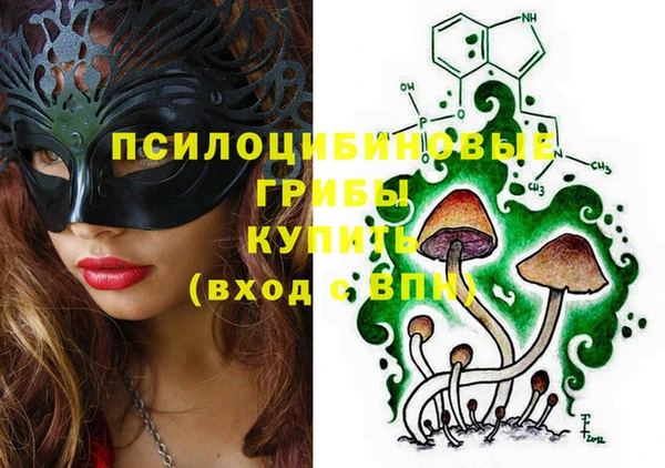 Альфа ПВП Пролетарск